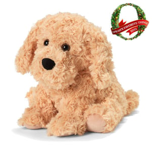 INTELEXCP-DOG-3.jpg