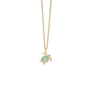 SPARTINA965601.jpg