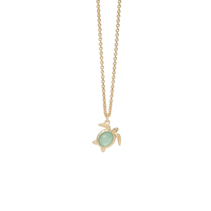 SPARTINA965601.jpg