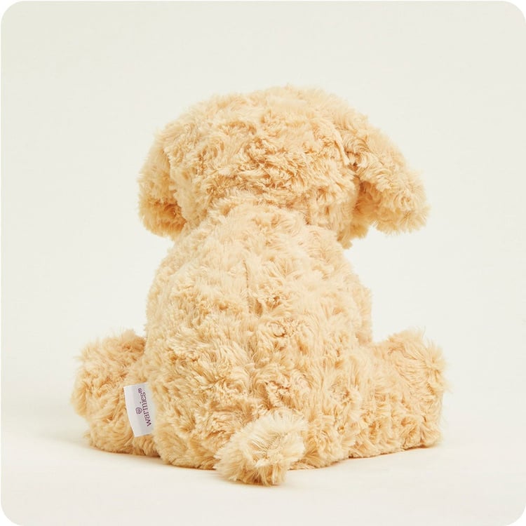 INTELEXCP-DOG-3_2_.jpg