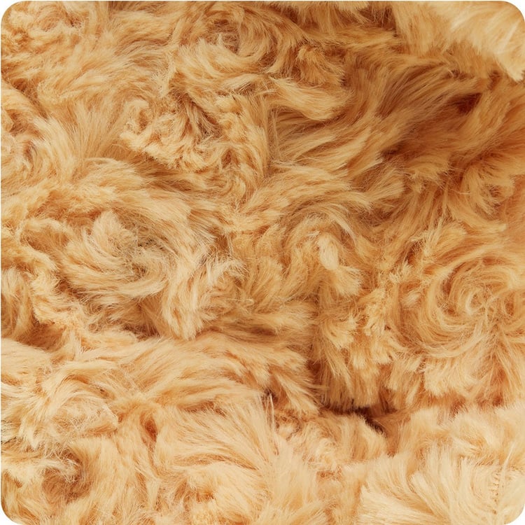 INTELEXCP-DOG-3_3_.jpg