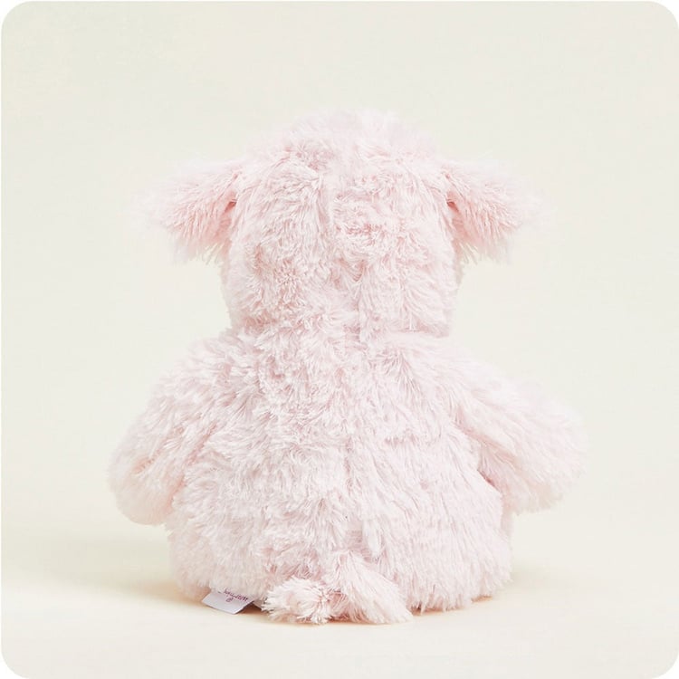 INTELEXCP-PIG-2_2_.jpg