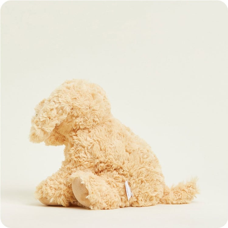 INTELEXCP-DOG-3_1_.jpg
