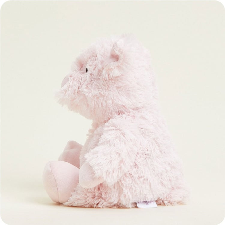 INTELEXCP-PIG-2_1_.jpg